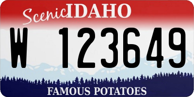 ID license plate W123649
