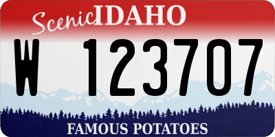ID license plate W123707
