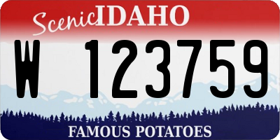 ID license plate W123759