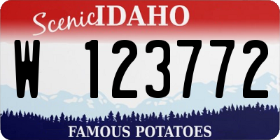 ID license plate W123772