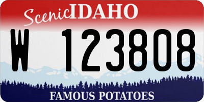 ID license plate W123808