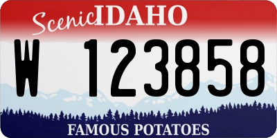 ID license plate W123858