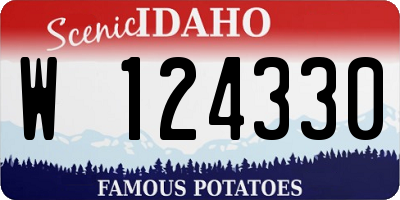 ID license plate W124330