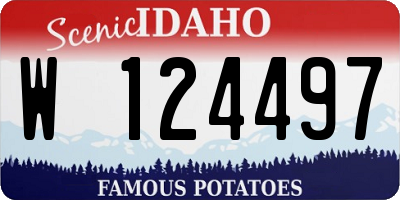 ID license plate W124497