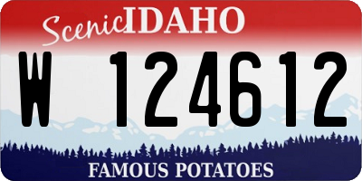ID license plate W124612