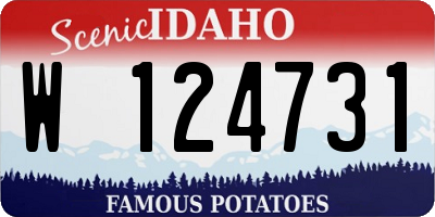 ID license plate W124731