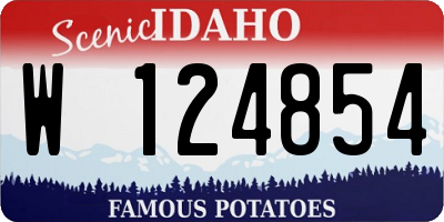 ID license plate W124854