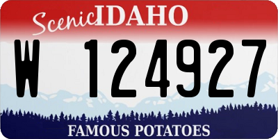 ID license plate W124927
