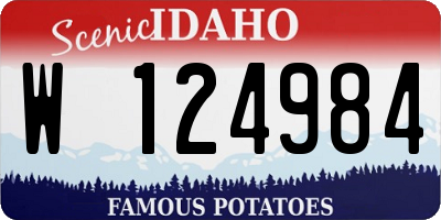 ID license plate W124984