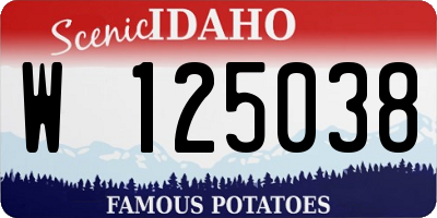 ID license plate W125038