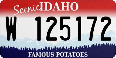 ID license plate W125172