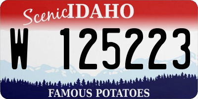 ID license plate W125223