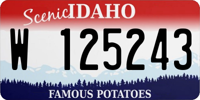 ID license plate W125243