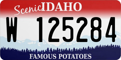 ID license plate W125284