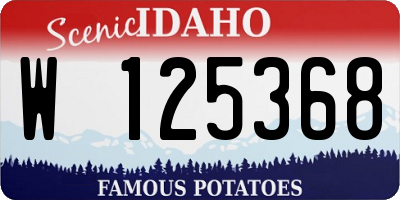 ID license plate W125368