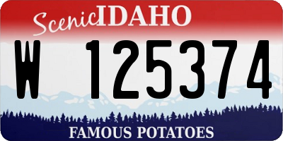 ID license plate W125374
