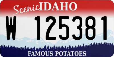 ID license plate W125381