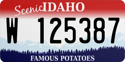 ID license plate W125387