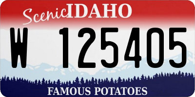 ID license plate W125405