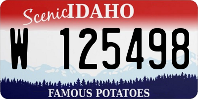 ID license plate W125498