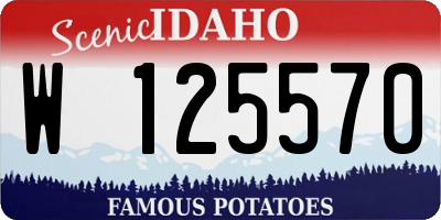 ID license plate W125570