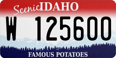 ID license plate W125600
