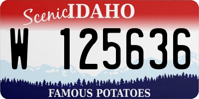 ID license plate W125636