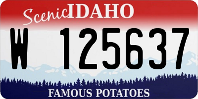 ID license plate W125637