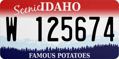 ID license plate W125674