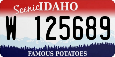 ID license plate W125689