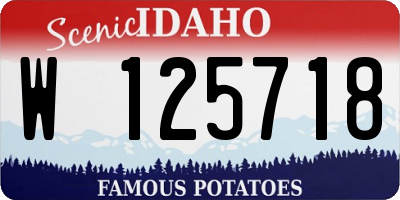 ID license plate W125718