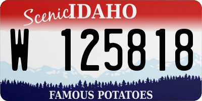 ID license plate W125818