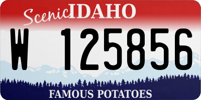 ID license plate W125856