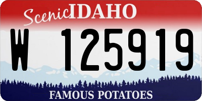 ID license plate W125919