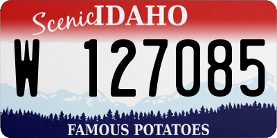 ID license plate W127085