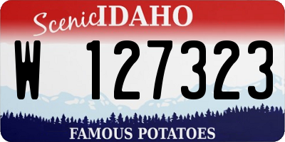 ID license plate W127323