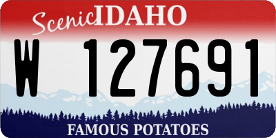 ID license plate W127691