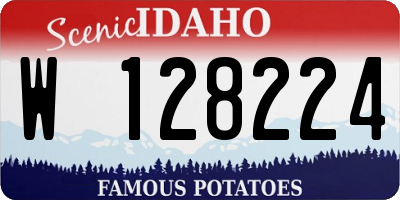 ID license plate W128224
