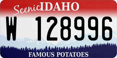 ID license plate W128996