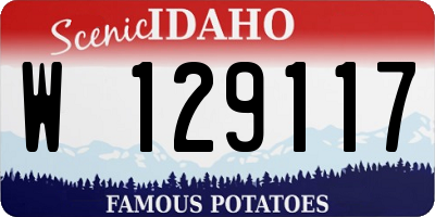 ID license plate W129117