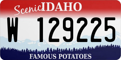 ID license plate W129225