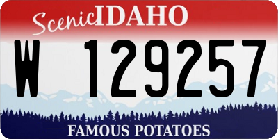 ID license plate W129257