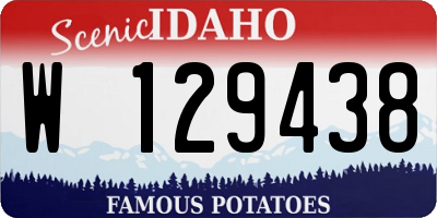 ID license plate W129438