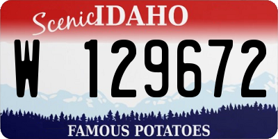 ID license plate W129672