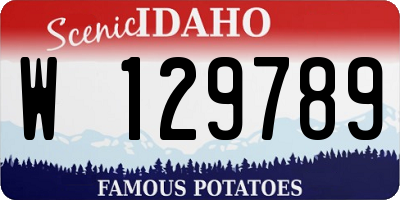 ID license plate W129789