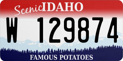 ID license plate W129874