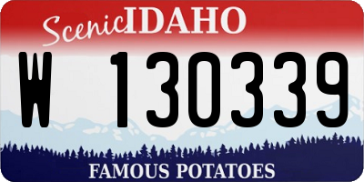 ID license plate W130339