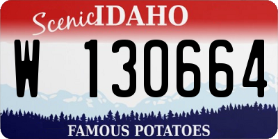 ID license plate W130664