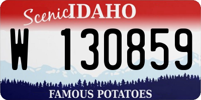 ID license plate W130859
