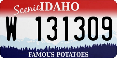 ID license plate W131309